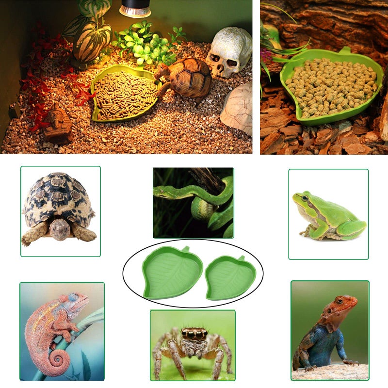 XDONEF 3pcs Tortoise Food Dish with Ramp and Basking Platform Leaf Tortoise Water Food Bowls Reptile Water Dish Turtle Reptile Pool for Amphibians Gray - Image 5